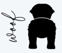 Dog Bernese Mountain