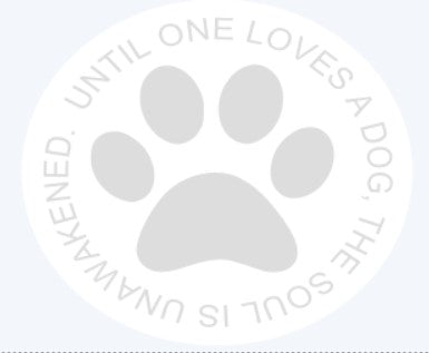 Until One Loves a Dog