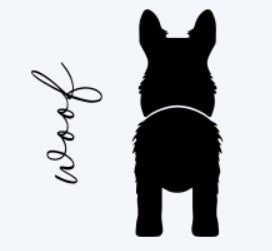 Dog Scottish Terrier