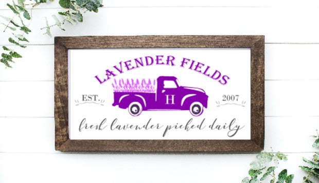 Lavender Fields