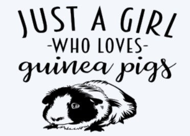 Loves Guinea Pigs