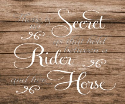 Secret Rider – Hammer & Stain Plain City